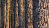 IMG_5695a
