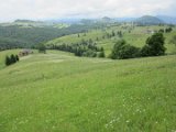 IMG_9781